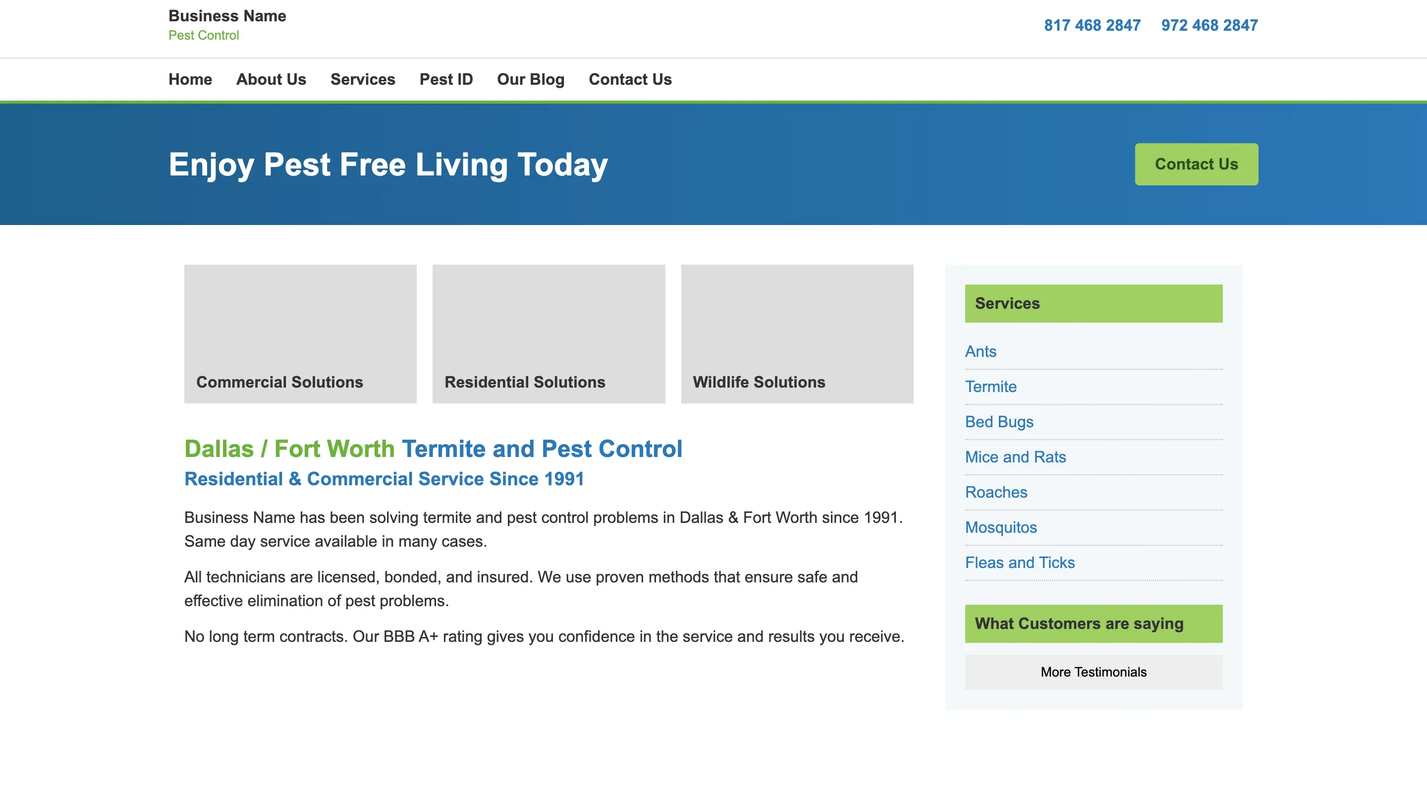 Before website example